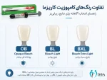 نمونه رنگ کاریزما